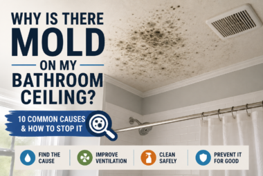 Why is there mold on my bathroom ceiling